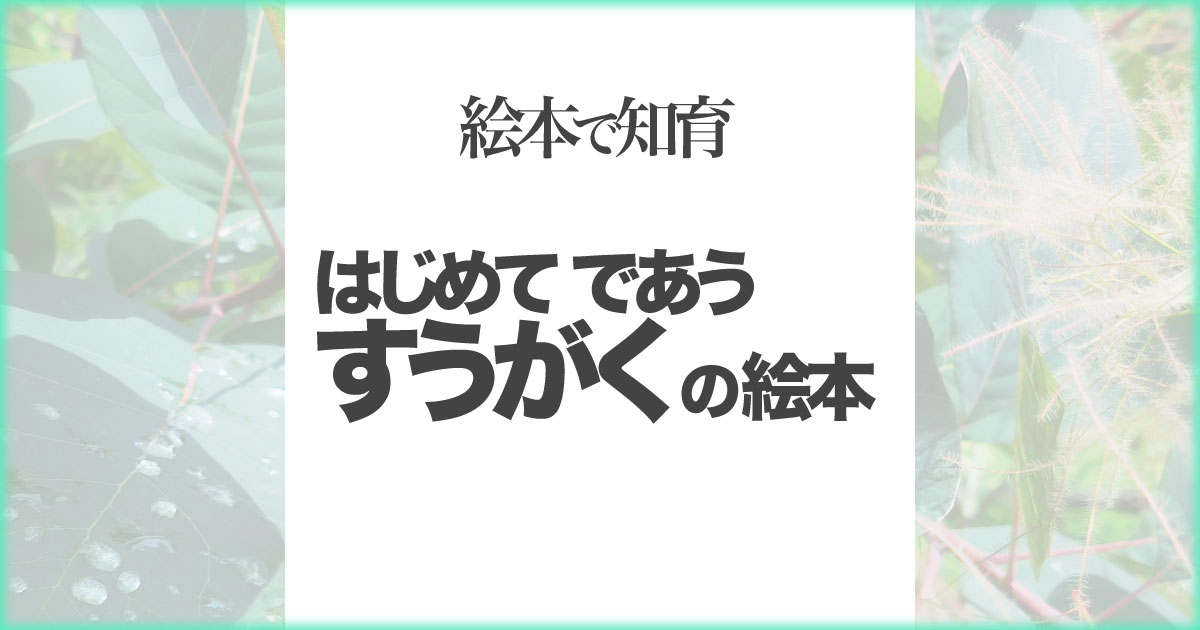 いなちさブログ【絵本で知育】はじめてであうすうがくの絵本