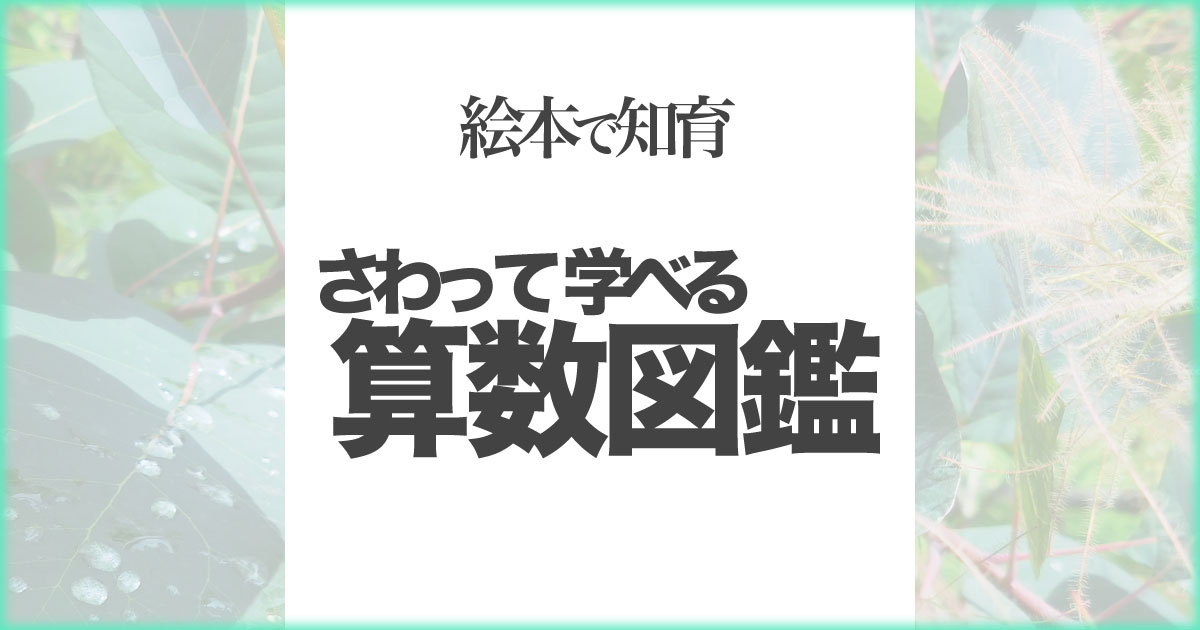 いなちさブログ【絵本で知育】さわって学べる算数図鑑