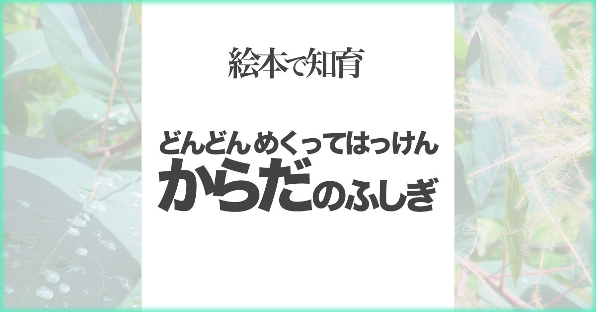 いなちさブログ【絵本で知育】どんどんめくってはっけんからだのふしぎ