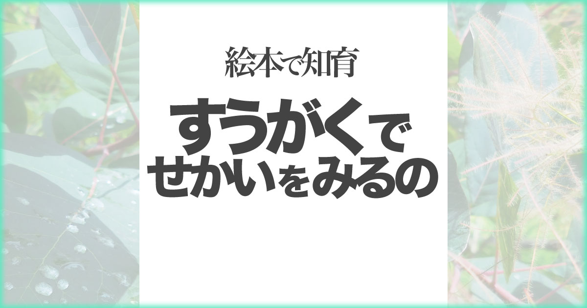 いなちさブログ【絵本で知育】すうがくでせかいをみるの