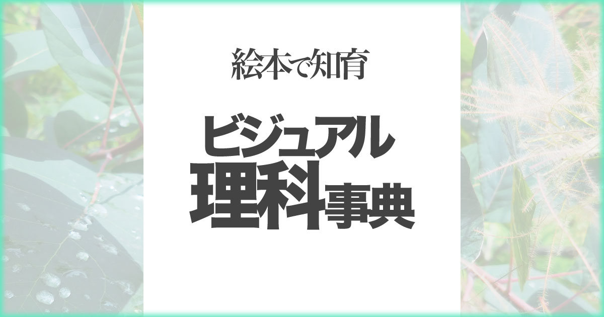 いなちさブログ【絵本で知育】ビジュアル理科事典