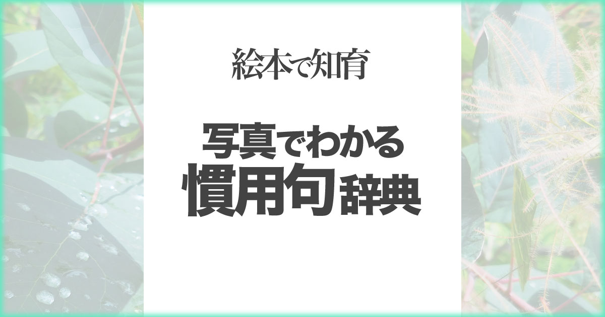 いなちさブログ【絵本で知育】写真でわかる慣用句辞典