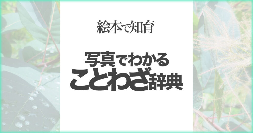 いなちさブログ【絵本で知育】写真でわかることわざ辞典