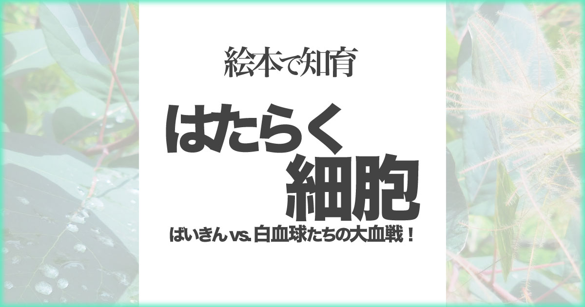 いなちさブログ【絵本で知育】はたらく細胞